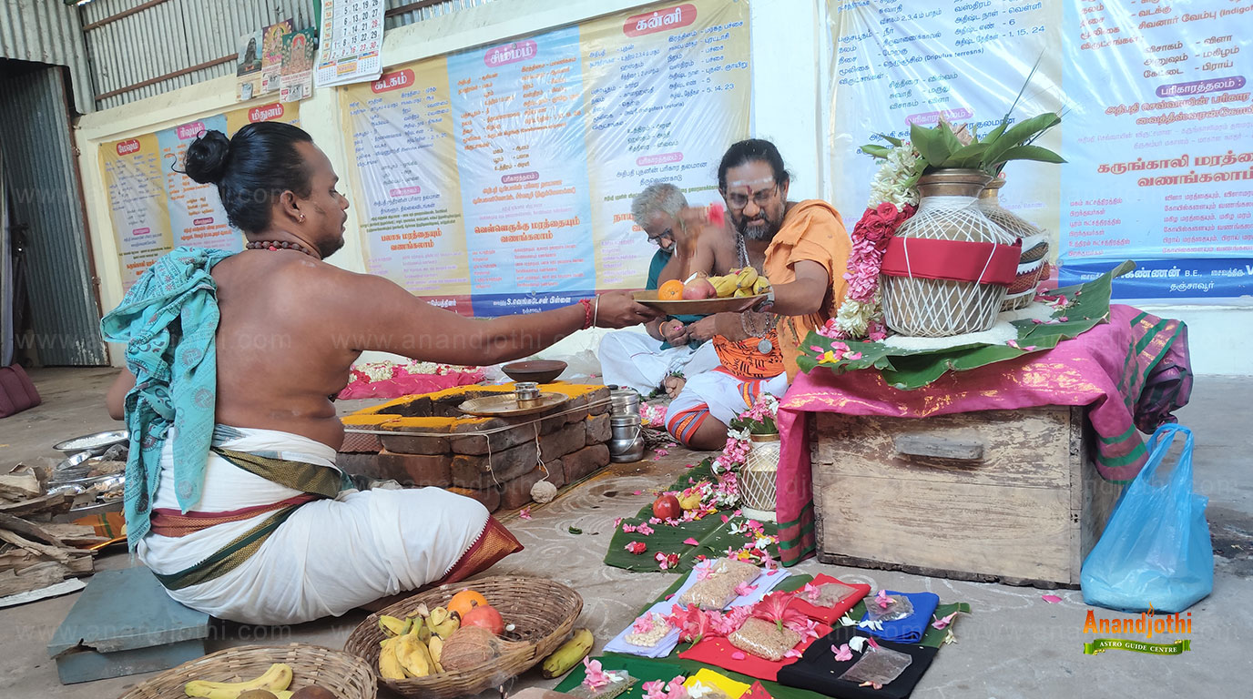 Navagraha Homam